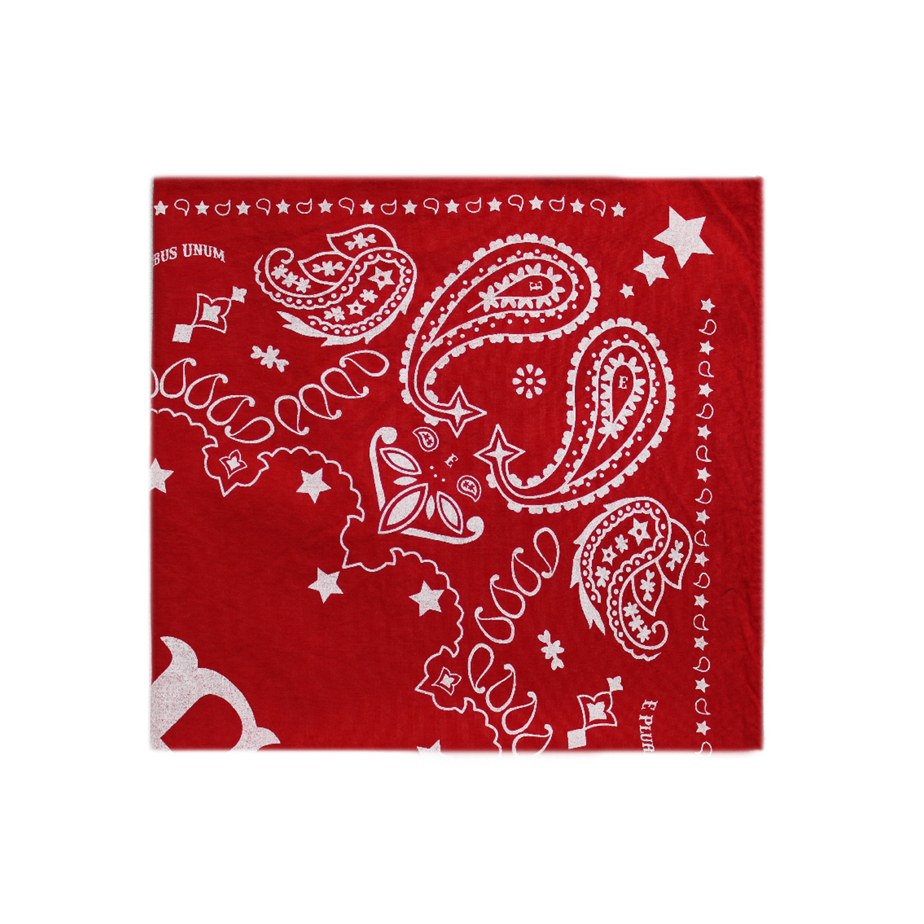 Paisley Bandana Scarf