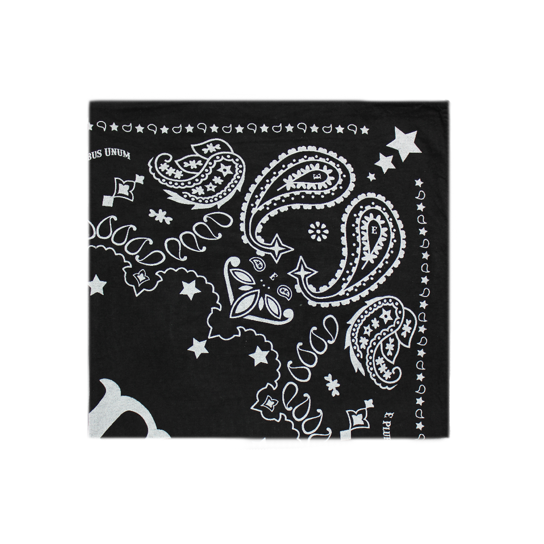 Paisley Bandana Scarf